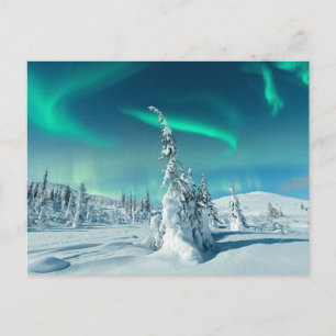 Ice & Snow Northern Lights, Lapland, Finland Postcard