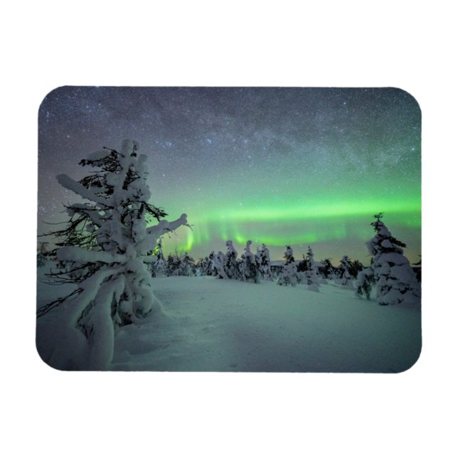 Ice & Snow | Pallas-Yllastunturi National Park Magnet (Horizontal)