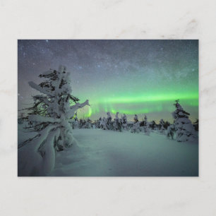 Ice & Snow Pallas-Yllastunturi National Park Postcard