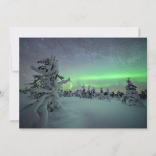 Ice & Snow Pallas-Yllastunturi National Park Thank You Card