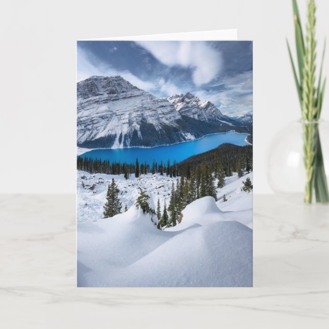 Ice & Snow | Peyto Lake, Canadian Rockies Card (Front)