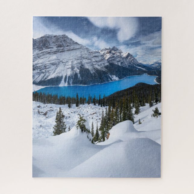 Ice & Snow | Peyto Lake, Canadian Rockies Jigsaw Puzzle (Vertical)
