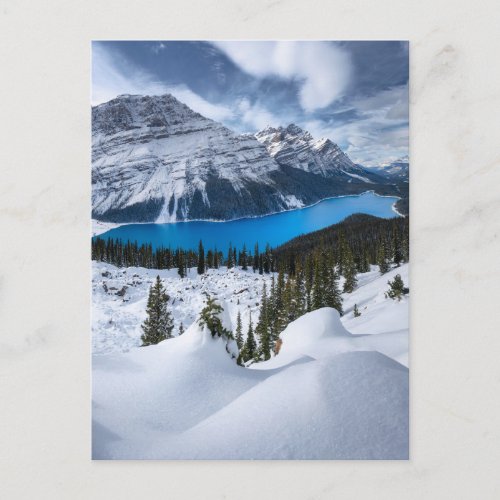 Ice  Snow  Peyto Lake Canadian Rockies Postcard