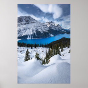 Ice & Snow Peyto Lake, Canadian Rockies Poster
