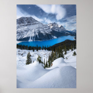 Ice & Snow Peyto Lake, Canadian Rockies Poster