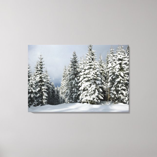 Ice & Snow | Pine Woodland, Austria Canvas Print (Front)