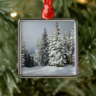 Ice & Snow Pine Woodland, Austria Metal Ornament