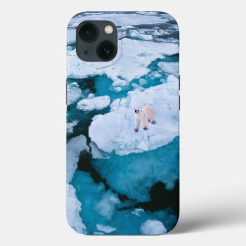 Ice  Snow  Polar Bear Arctic Ocean Svalbard iPhone 13 Case