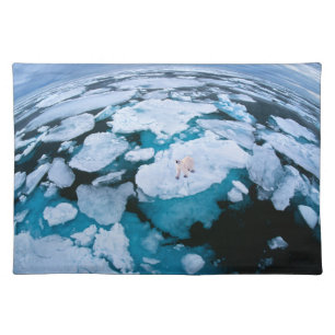 Ice & Snow Polar Bear, Arctic Ocean, Svalbard Cloth Placemat