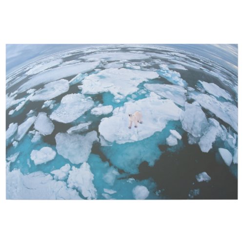 Ice  Snow  Polar Bear Arctic Ocean Svalbard Gallery Wrap