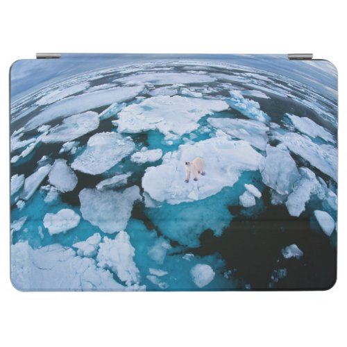 Ice  Snow  Polar Bear Arctic Ocean Svalbard iPad Air Cover