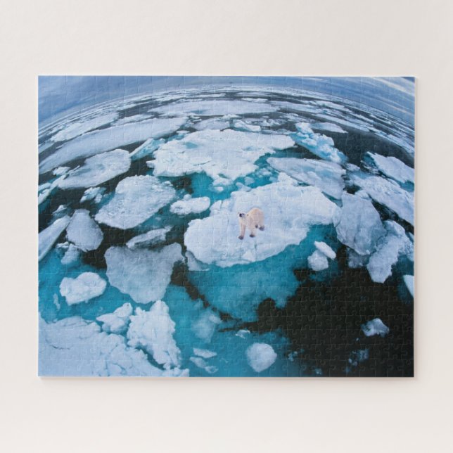Ice & Snow | Polar Bear, Arctic Ocean, Svalbard Jigsaw Puzzle (Horizontal)
