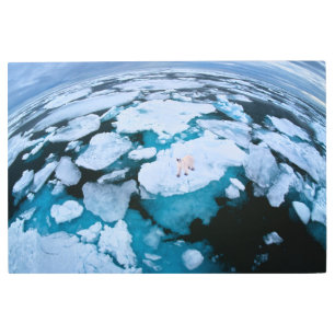 Ice & Snow   Polar Bear, Arctic Ocean, Svalbard Metal Print