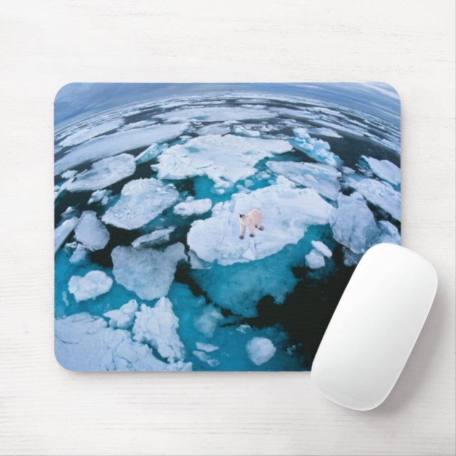 Ice & Snow | Polar Bear, Arctic Ocean, Svalbard Mouse Pad (With Mouse)