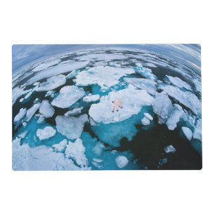 Ice & Snow Polar Bear, Arctic Ocean, Svalbard Placemat