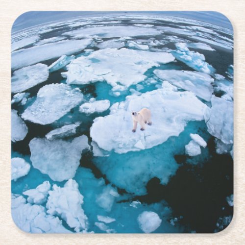 Ice  Snow  Polar Bear Arctic Ocean Svalbard Square Paper Coaster