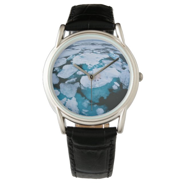 Ice & Snow | Polar Bear, Arctic Ocean, Svalbard Watch (Front)