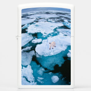 Ice & Snow Polar Bear, Arctic Ocean, Svalbard Zippo Lighter