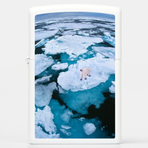 Ice  Snow  Polar Bear Arctic Ocean Svalbard Zippo Lighter