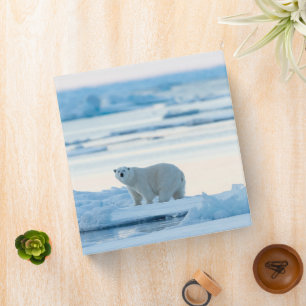 Ice & Snow   Polar Bear Iceberg Norway 3 Ring Binder