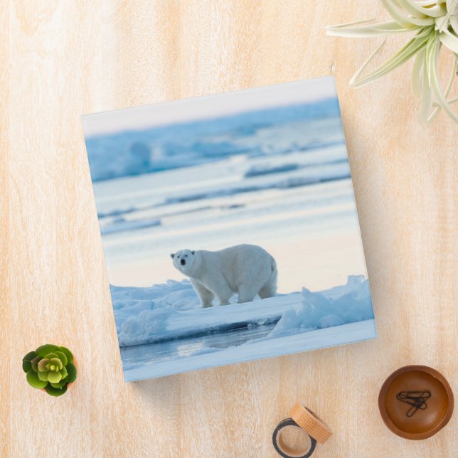 Ice & Snow | Polar Bear Iceberg Norway 3 Ring Binder (In Situ)