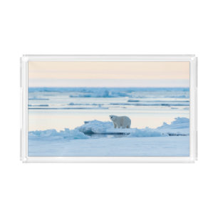 Ice & Snow   Polar Bear Iceberg Norway Acrylic Tray