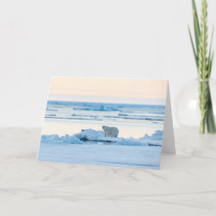 Ice & Snow Polar Bear Iceberg Norway Card
