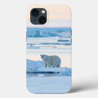 Ice & Snow | Polar Bear Iceberg Norway iPhone 13 Case