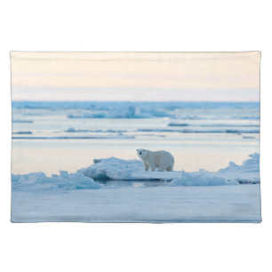 Ice & Snow Polar Bear Iceberg Norway Cloth Placemat