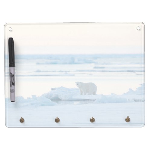 Ice  Snow  Polar Bear Iceberg Norway Dry Erase Board With Keychain Holder