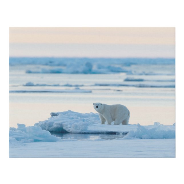Ice & Snow | Polar Bear Iceberg Norway Faux Canvas Print (Front)