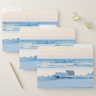 Ice & Snow | Polar Bear Iceberg Norway File Folder
