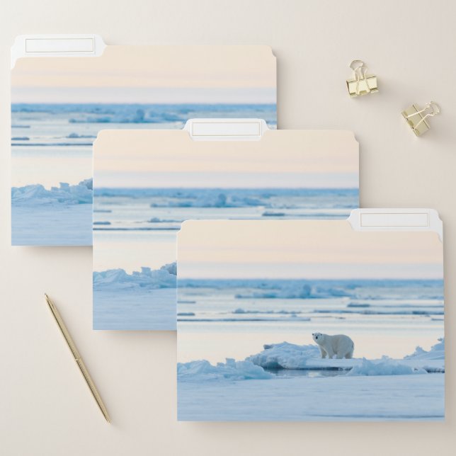 Ice & Snow | Polar Bear Iceberg Norway File Folder (Set)