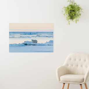 Ice & Snow Polar Bear Iceberg Norway Foam Board
