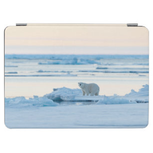 Ice & Snow   Polar Bear Iceberg Norway iPad Air Cover