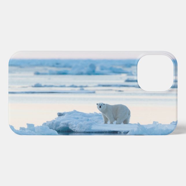 Ice & Snow | Polar Bear Iceberg Norway iPhone Case (Back Horizontal)