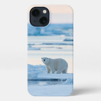 Ice & Snow | Polar Bear Iceberg Norway iPhone 13 Case