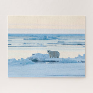 Ice & Snow Polar Bear Iceberg Norway Jigsaw Puzzle