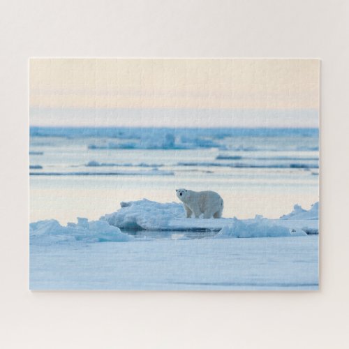 Ice  Snow  Polar Bear Iceberg Norway Jigsaw Puzzle