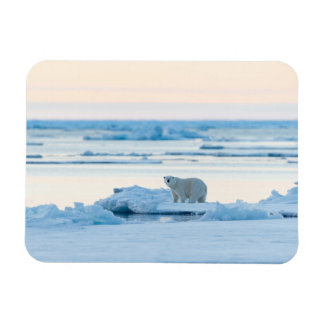 Ice & Snow | Polar Bear Iceberg Norway Magnet