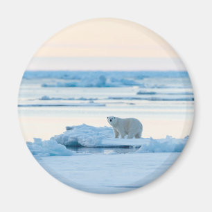 Ice & Snow Polar Bear Iceberg Norway Magnet