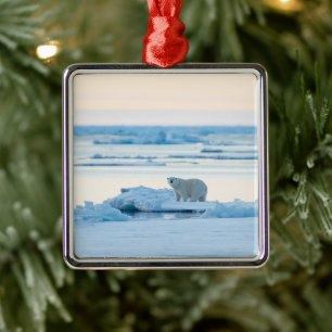Ice & Snow Polar Bear Iceberg Norway Metal Ornament