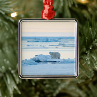 Ice & Snow | Polar Bear Iceberg Norway Metal Ornament