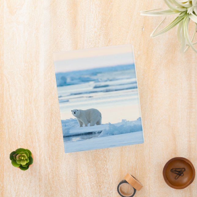 Ice & Snow | Polar Bear Iceberg Norway Mini Binder (InSitu)