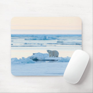 Ice & Snow | Polar Bear Iceberg Norway Mouse Pad