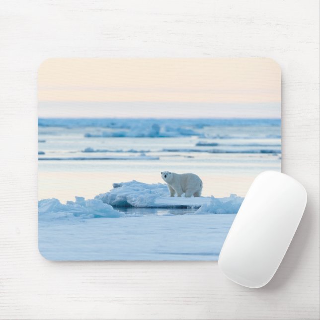 Ice & Snow | Polar Bear Iceberg Norway Mouse Pad (With Mouse)