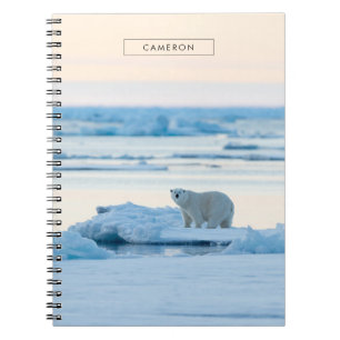Ice & Snow   Polar Bear Iceberg Norway Notebook