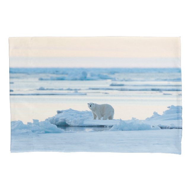 Ice & Snow | Polar Bear Iceberg Norway Pillow Case (Front)