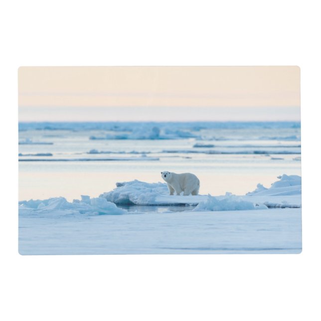 Ice & Snow | Polar Bear Iceberg Norway Placemat (Front)