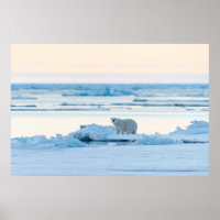 Ice & Snow | Polar Bear Iceberg Norway